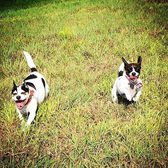 5 Star ratings >400, top seller, fast shipper! - Picture 5 of 8